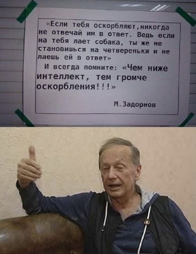 Весёлый полтишок 13.07.25