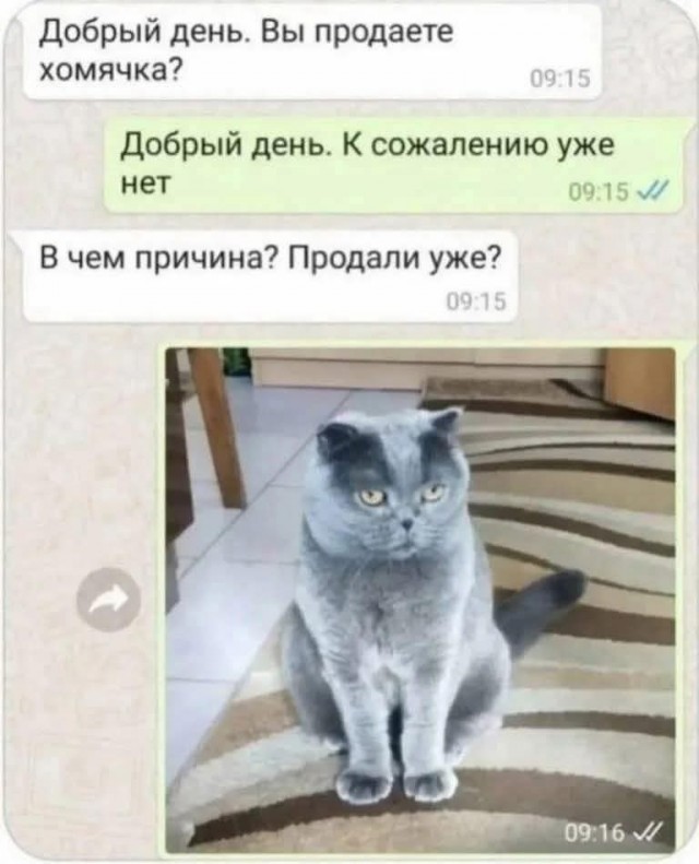 Маленькая пятница 23.07