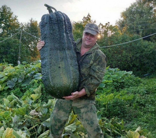 Так всякие картинки