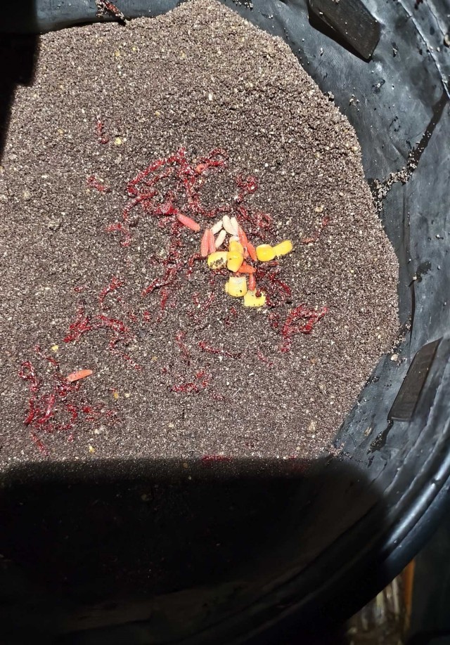 Рыбалка на реке Березина. Беларусь