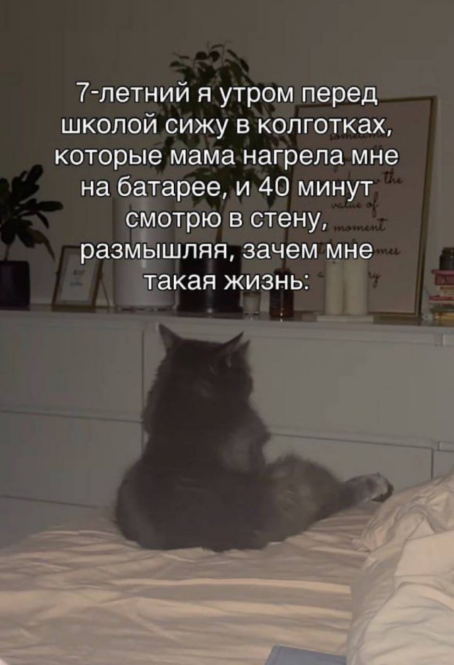 Небаянистая деградация 4