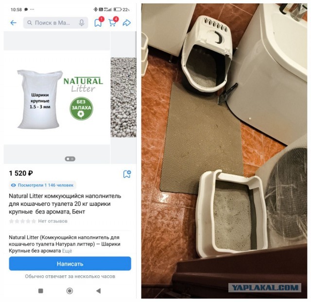 Здравствуйте, меня зовут Гаврюша.