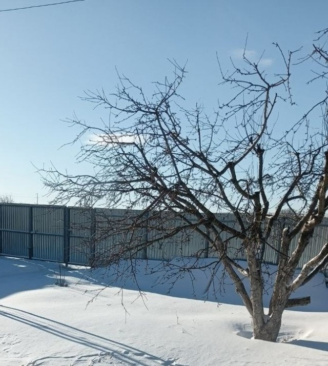 Что у яповцев за окном