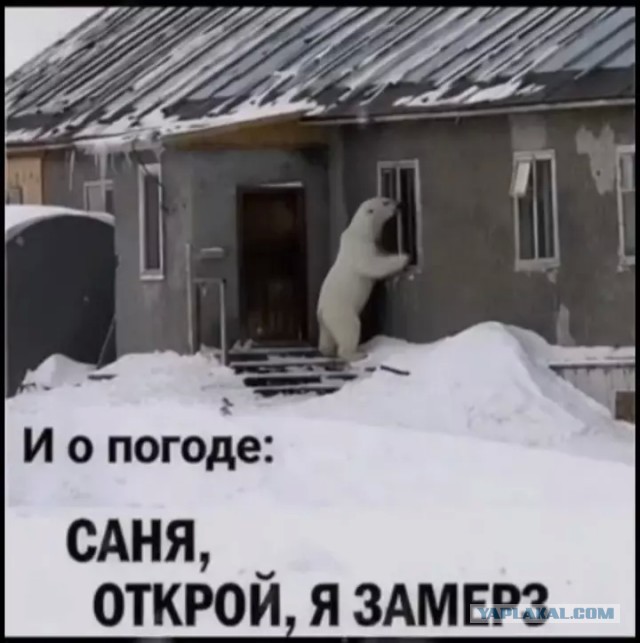 А какая температура у Вас за окном?