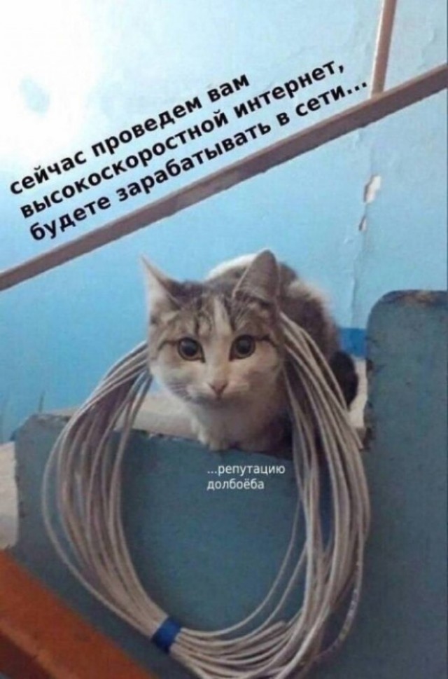 Картиночки, баянчики 24 января