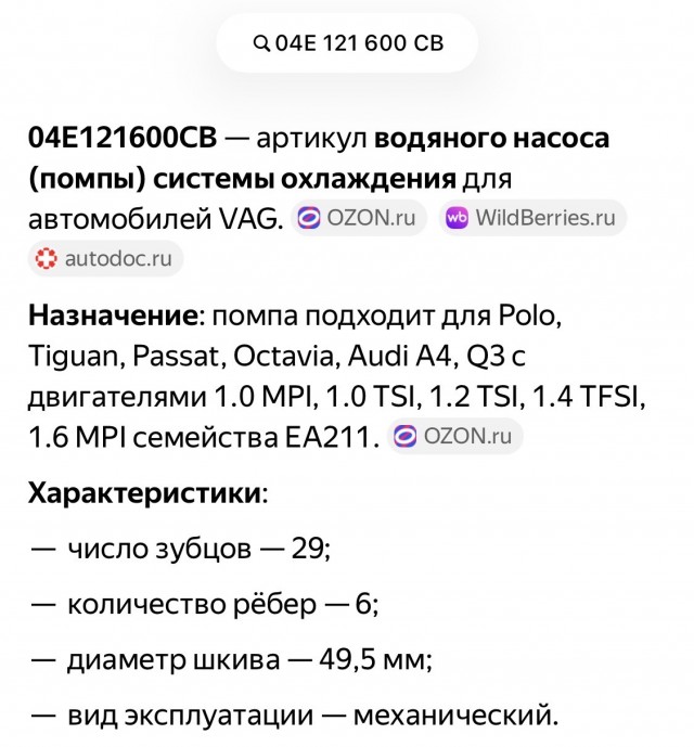 Безумные европейцы едут по России