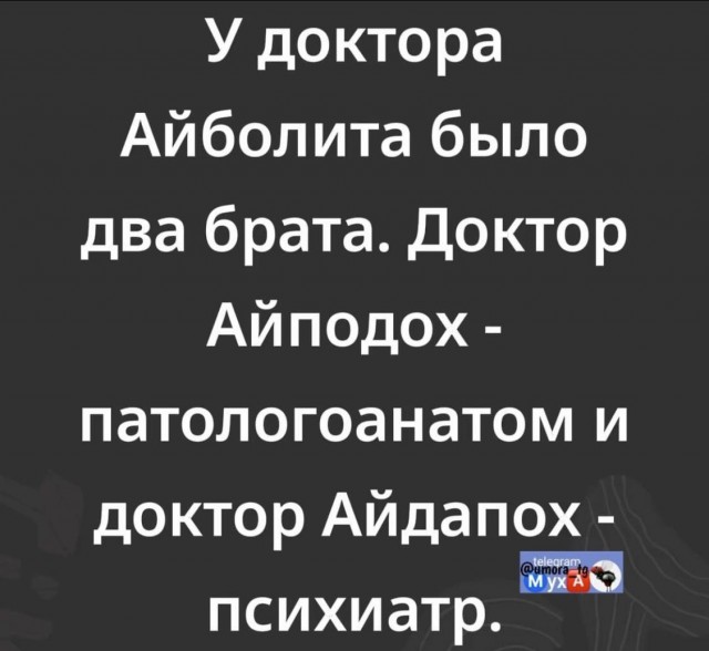 Веселые картинки в пятницу (20.02)