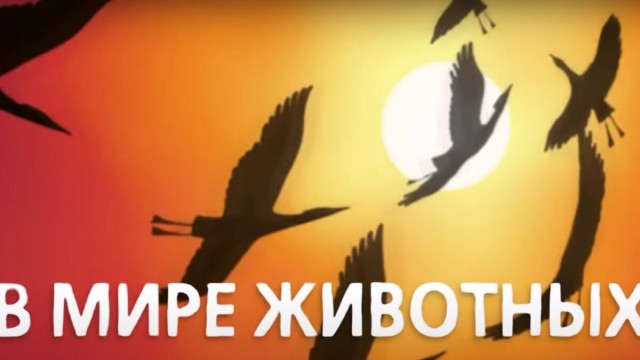 Жутковатая херня