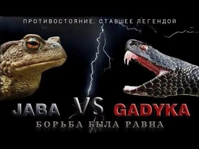 Эрдоган пригрозил Израилю войной