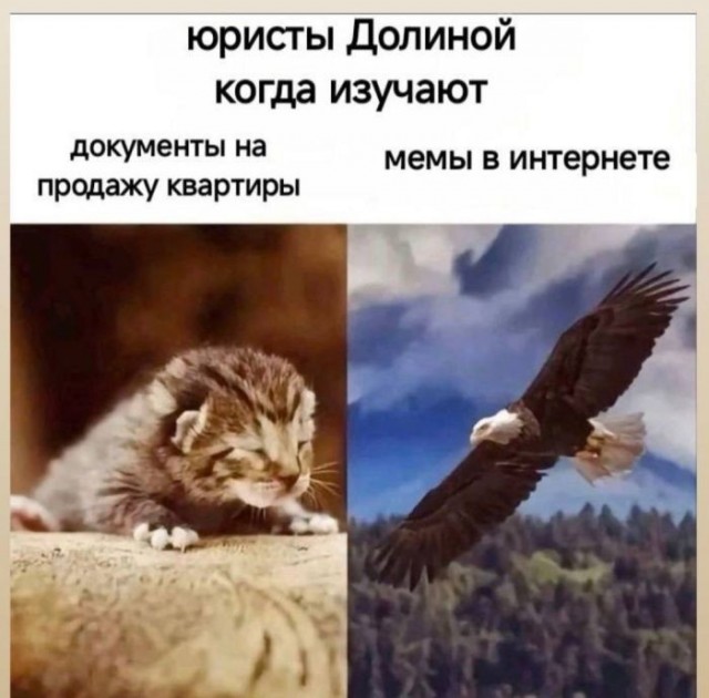 Картинки для деградации 310 (разной степени свежести)
