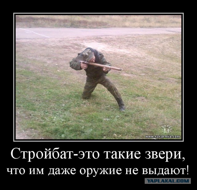 Упал-отжался. Что нужно уметь в армиях