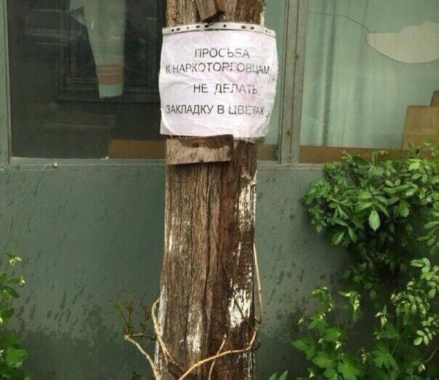Веселости на пятницу