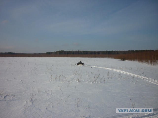 В деревню...