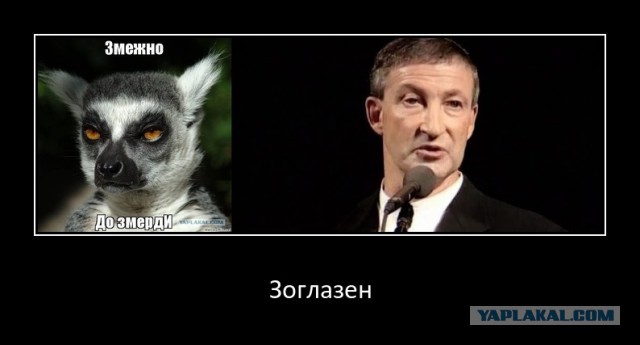 Свежая подборка картинок