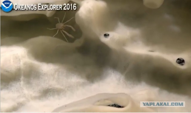 Началась онлайн-трансляция происходящего в самом глубоком месте Земли