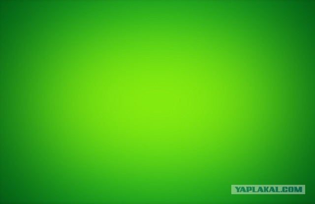 Юкка: уход и размножение