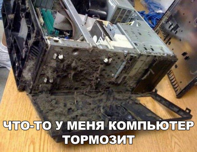 Картинки и приколы из сети