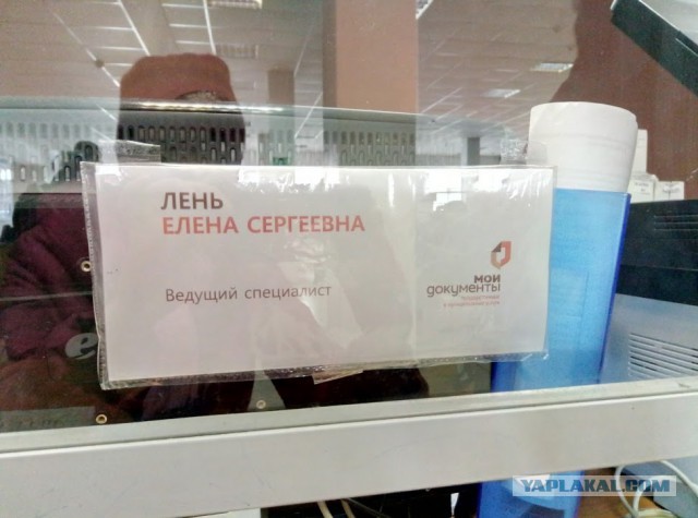 Забавные комментарии, шутки и фразы из этих ваших интернетов