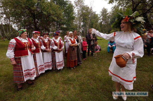 Чемпиона Мира и Европы по пауэрлифтингу Андрея Драчева убили в Хабаровске