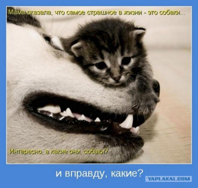 Как стать друзьями