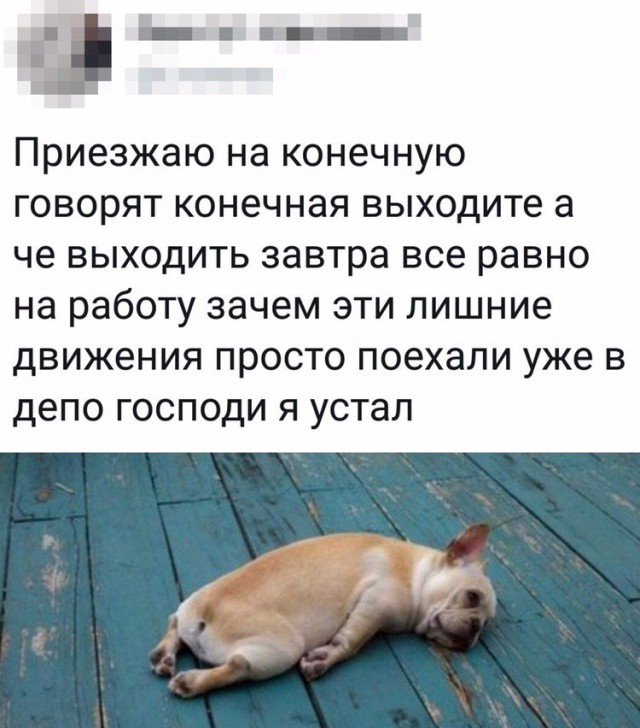 Картинки с надписями и анекдоты