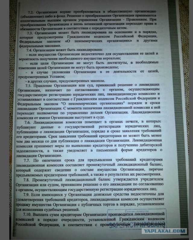 Помогите вернуть кота! Приют "Преданное сердце" украл кота и не отдает!-2