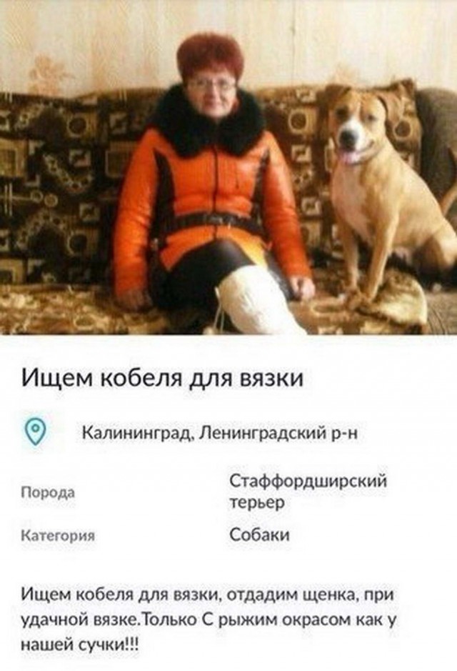 Бредзона