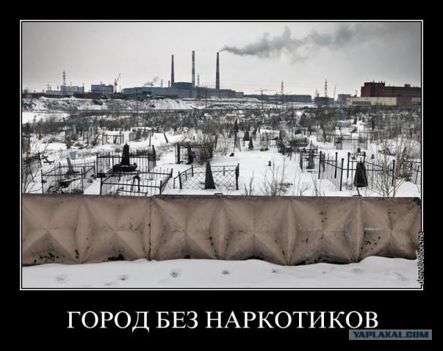 Как вам такой креатив без лиц..?!