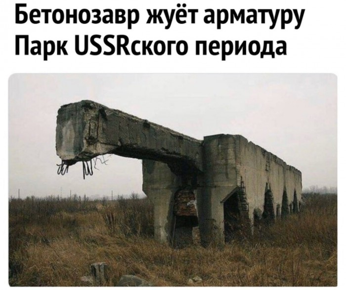 Дичь#2. Социум