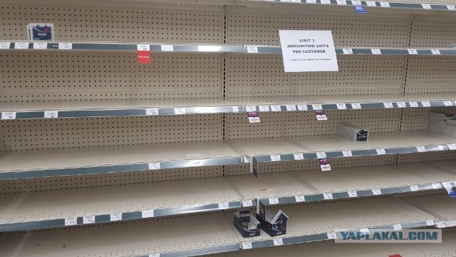Оружейный магазин в США, ажиотаж