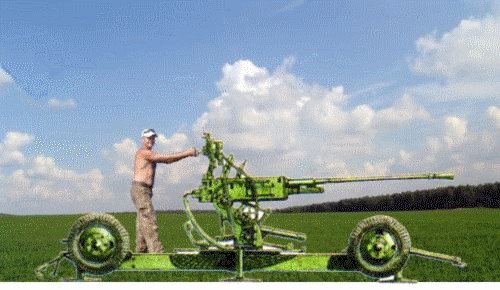 Фотожаба: На пеньке
