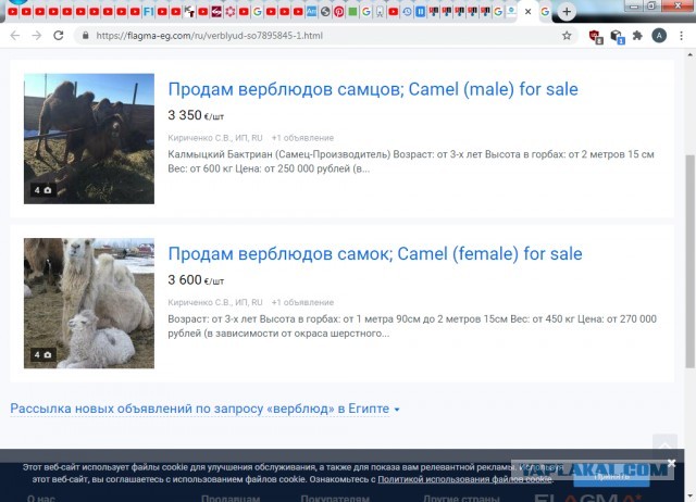 Восточная мудрость