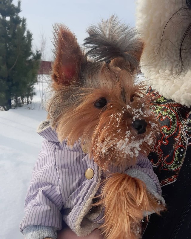Подборка всякой живности