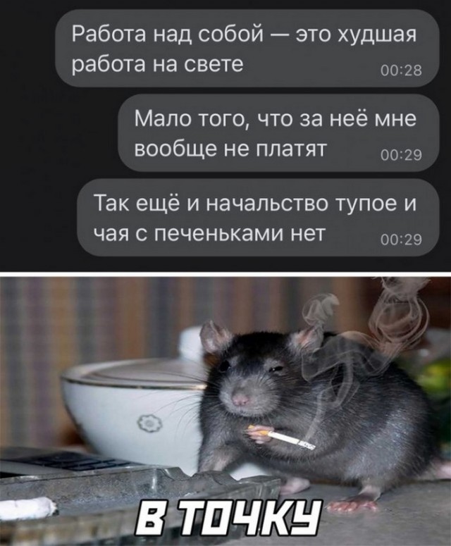 Прикольные и просто красивые картинки 11.08.2021