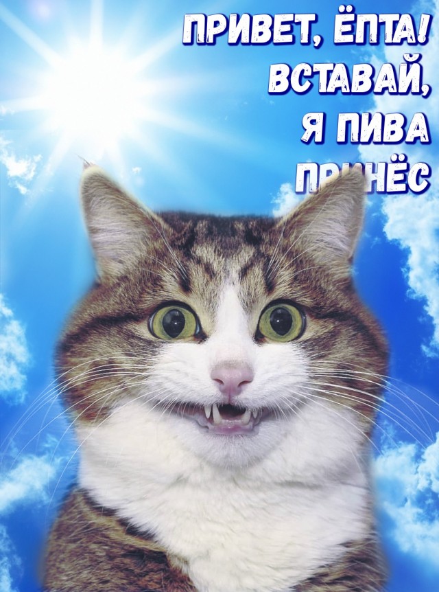 Лови свой ужин