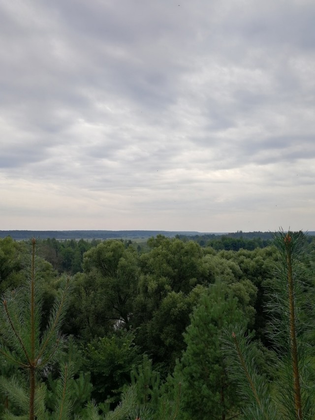 Сплав по реке Десна 01.08-08.08.2021