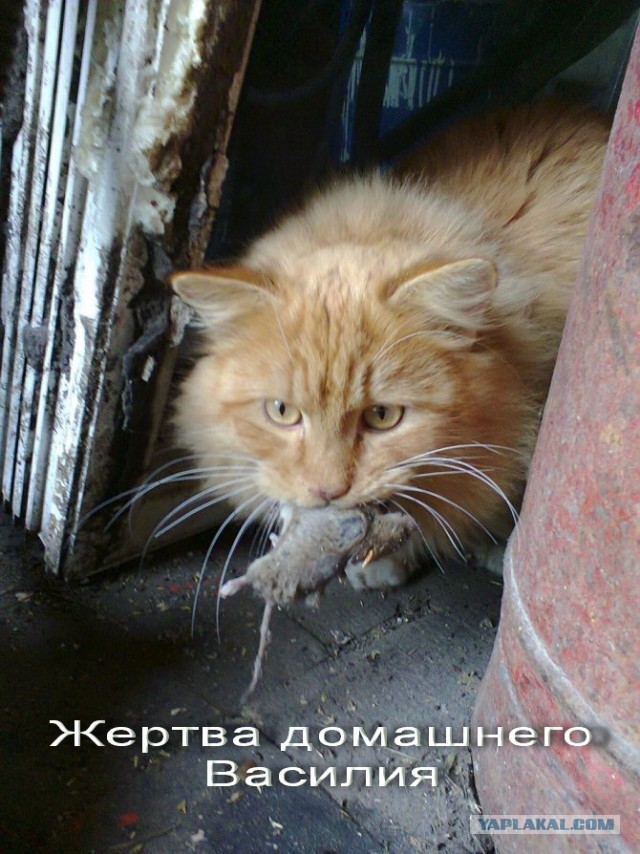 Знакомьтесь, Люцифер