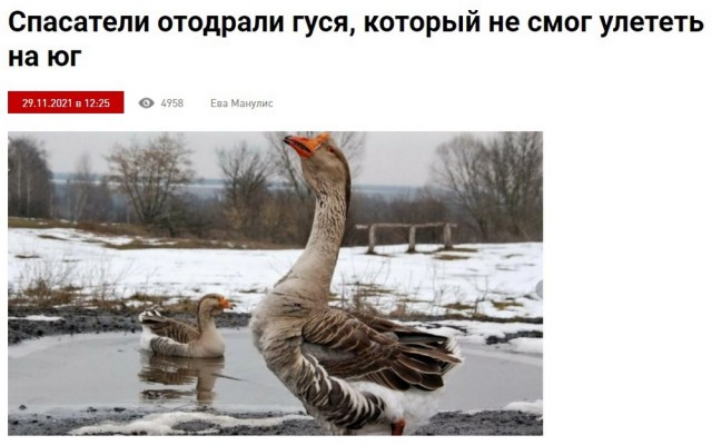 Признаки врущей женщины, о которых знают не все.