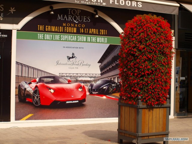 Путешествие в Монако