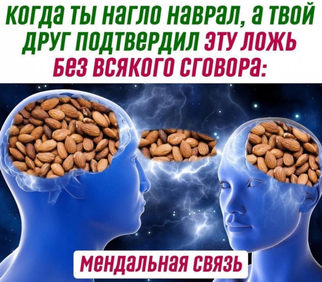 Дурацкие картинки