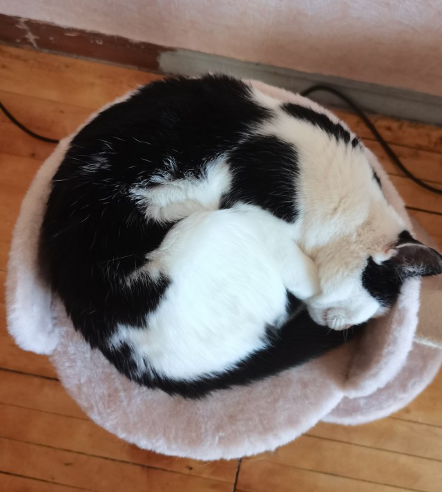 Кот д’Ивуар