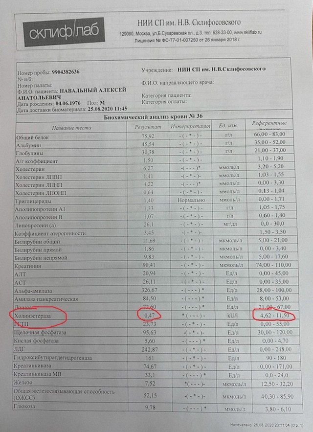 В Москве задержали политика Илью Яшина