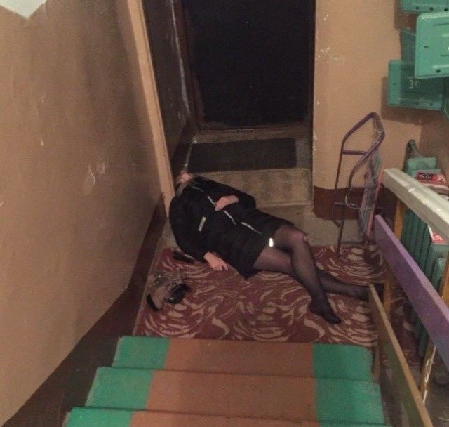 Скотсети и прочие интернеты 15.07.22