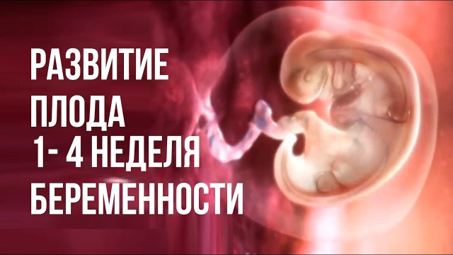 Мы что, все были бабами?