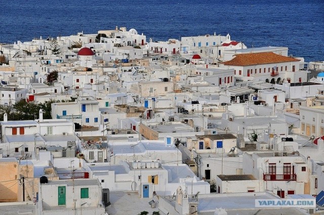 Любовь с первого взгляда