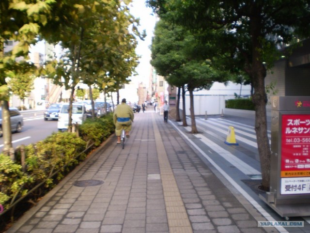 Далёкая Япония