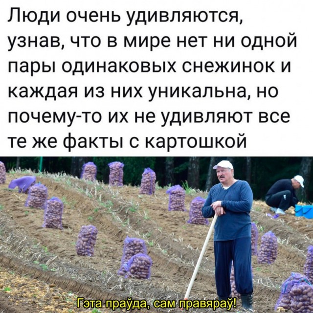 Немного картинок для настроения - 123