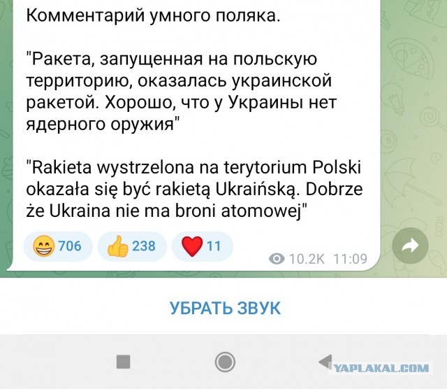 На злобу дня