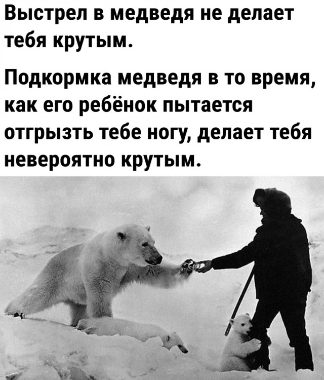 Так себе картинки 26.02.23