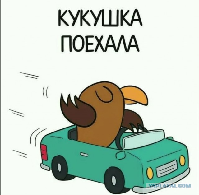 Победная поступь идиотизма по планете – том 10